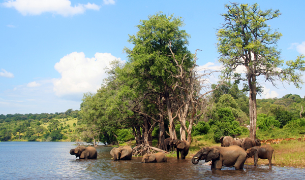 botswana